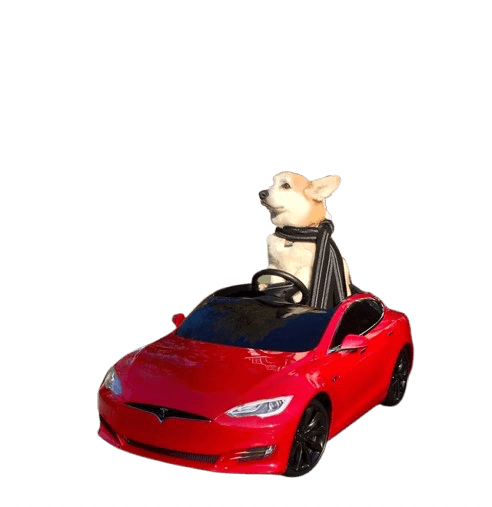 Tesla Dog